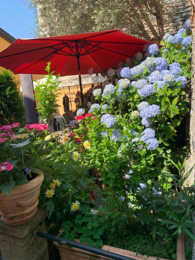 Ferienhaus, Rustico Auf Burg ロカルノ エクステリア 写真
