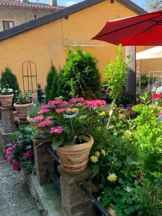 Ferienhaus, Rustico Auf Burg ロカルノ エクステリア 写真